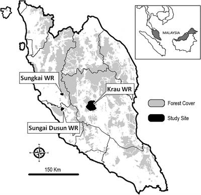 Mammal Diversity at Artificial Saltlicks in Malaysia: A Targeted Use